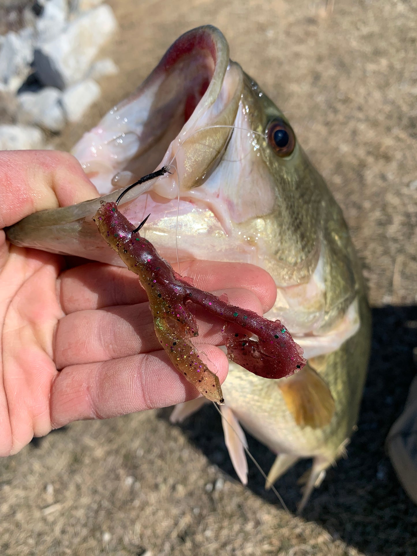 3.25” street craw